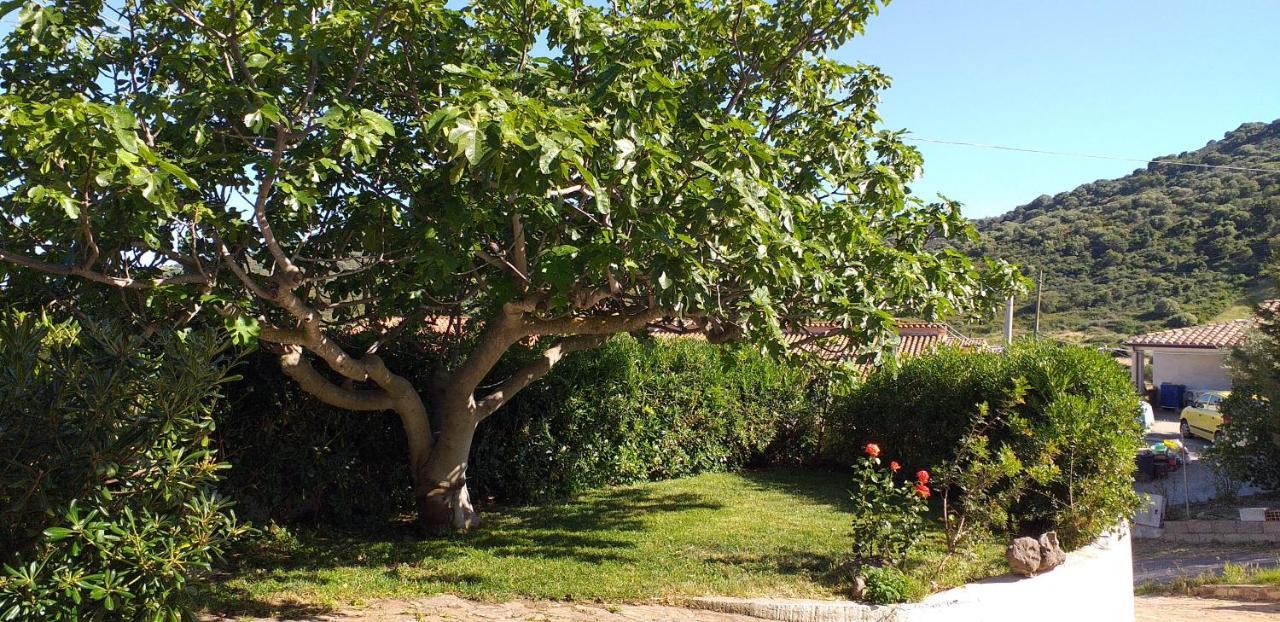 Casa Orvile San Lorenzo  Dış mekan fotoğraf